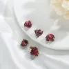 Natural flower jewelry accessories, rose earrings with leaves, irregular flower buds, semi-finished earrings, diy accessories, cross-border details Picture